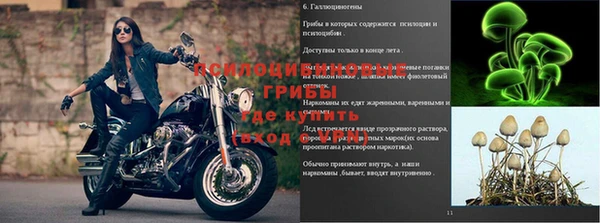 Альфа ПВП Алексин