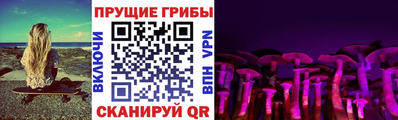 Псилоцибиновые грибы прущие грибы  KRAKEN как зайти  Невьянск 